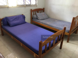 Blk 362 Bukit Batok Street 31 (Bukit Batok), HDB Executive #238176441